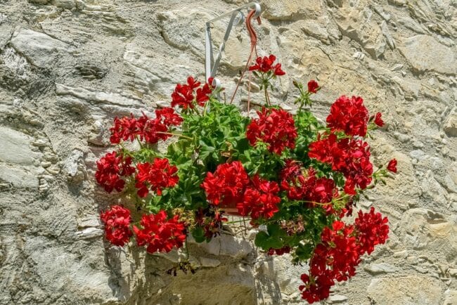 שכונת אגיה פרסקבי Agia paraskevi