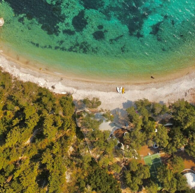 פאקסי פאקסוס Paxi