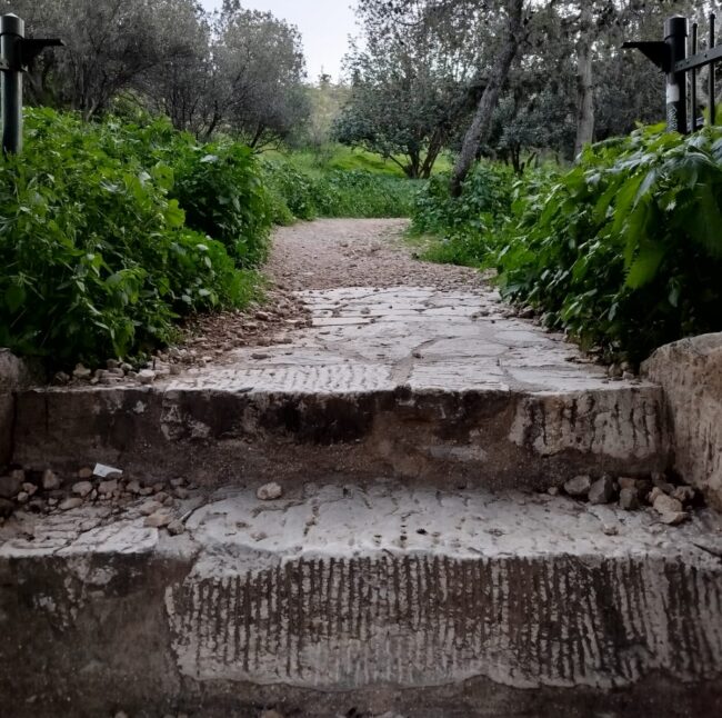 אל גבעת פילופאפוס. תמונה: יואב אבני