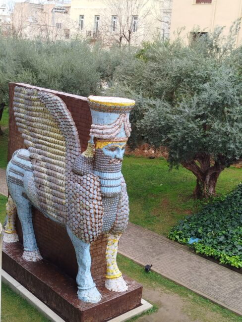 למסו. תמונה: יואב אבני