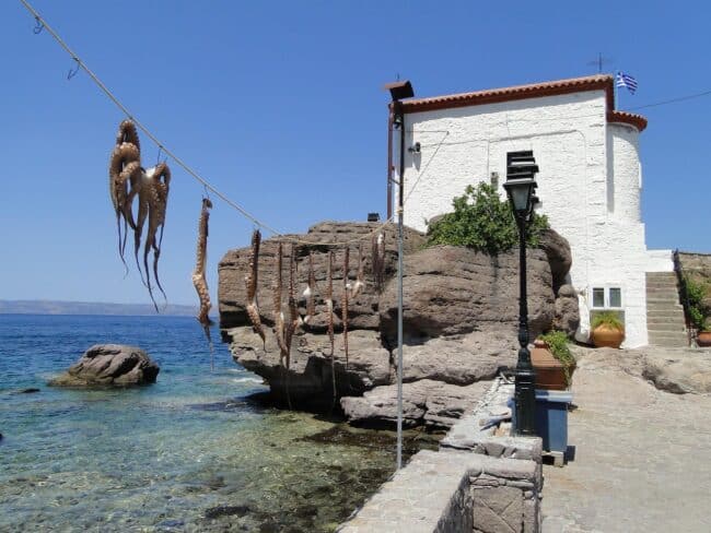 Octopuses hanging to dry in Lesvos