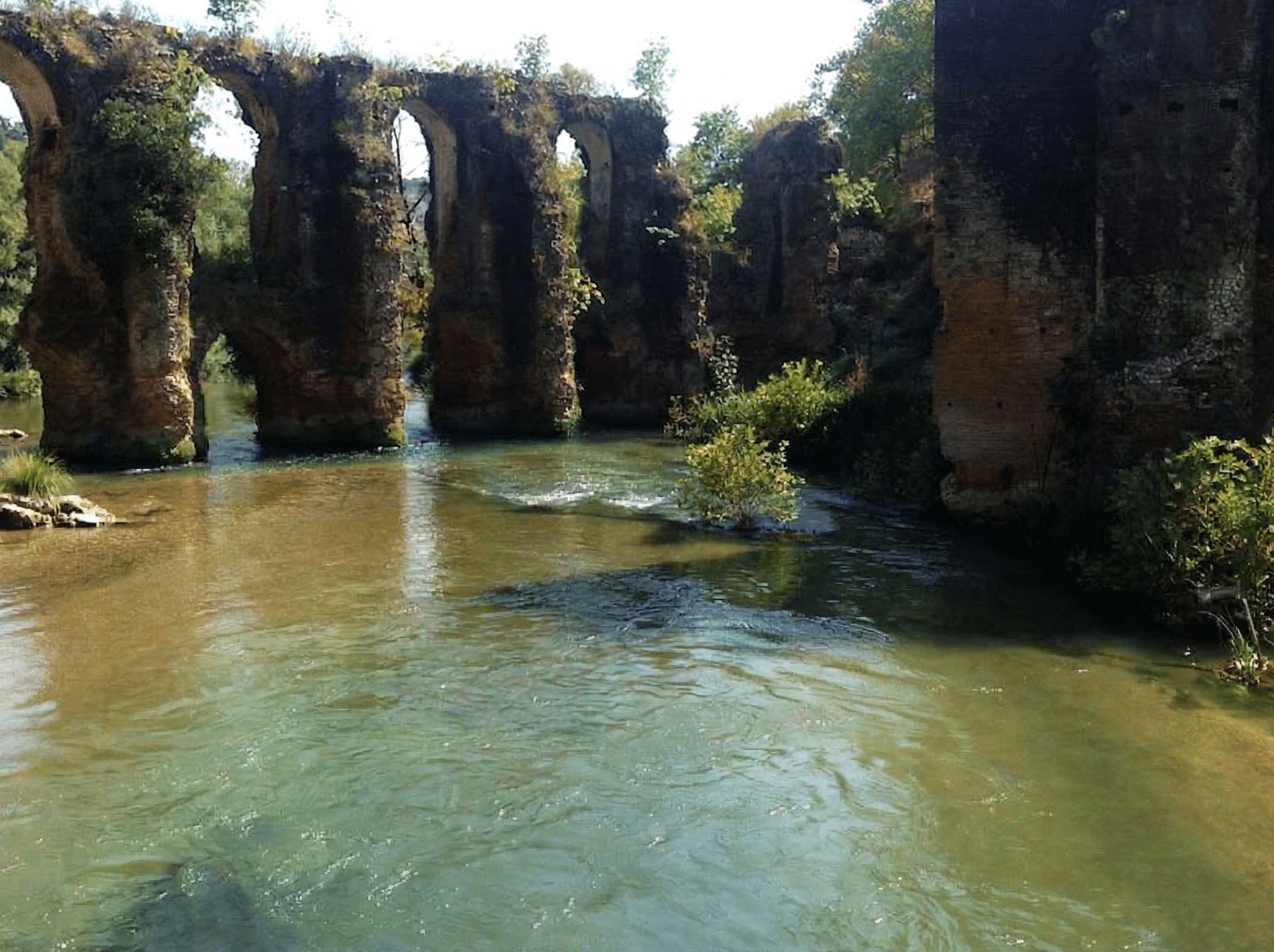 אזור שחיה בזירוס