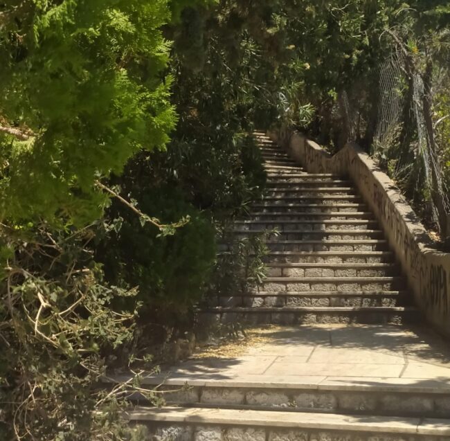 גבעת ליקאביטוס, ברגליים. תמונה: יואב אבני